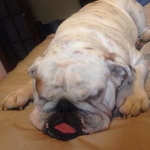 Meet your Posher, Ben